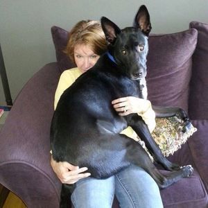 Meet your Posher, Sharon